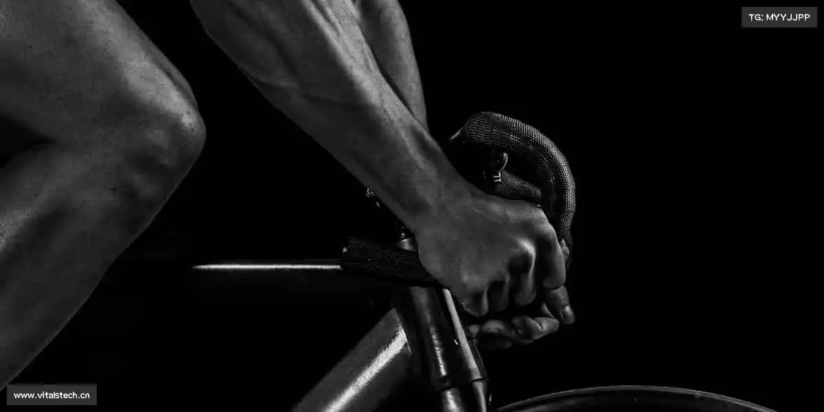 我们的品牌价值